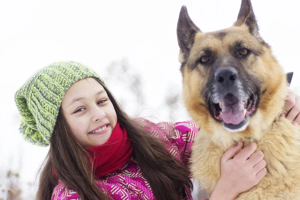 Dívka dítě a pes pastevecký — Stock fotografie