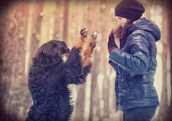 Donna e cane — Foto Stock