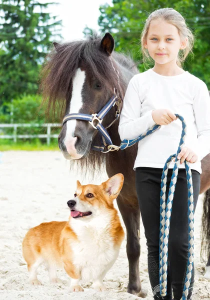Dziecko i kucki i pies na spacer — Zdjęcie stockowe