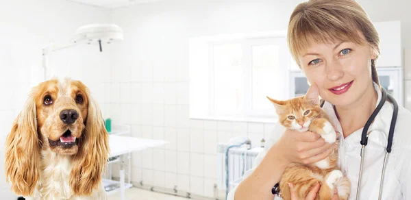 Woman Veterinary Doctor Small Kitten Dog — 스톡 사진