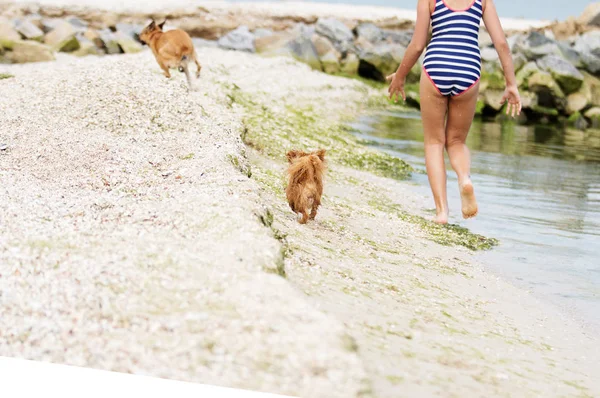 Child Dog Running Seashore — ストック写真