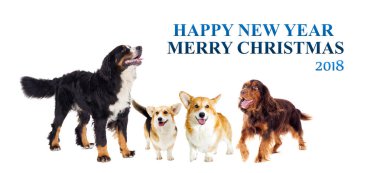 2018 Yeni Yıl ve Noel