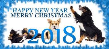 2018 Yeni Yıl ve Noel