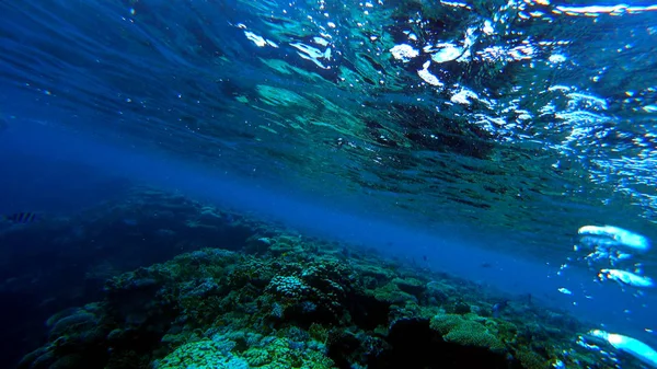 Muitas Bolhas Sobem Fundo Mar — Fotografia de Stock