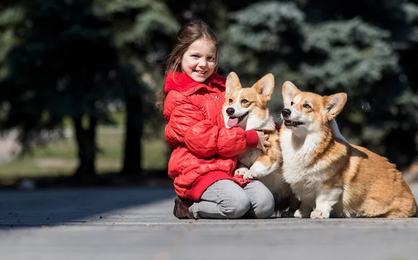 Mädchen Umarmt Corgi Hund Freien — Stockfoto