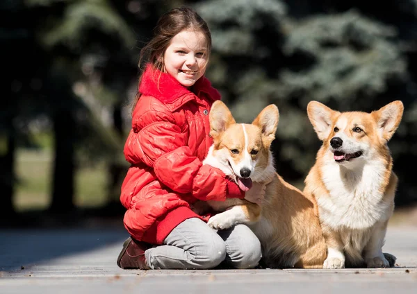 Kleines Mädchen Rot Und Corgi Hund Freien — Stockfoto