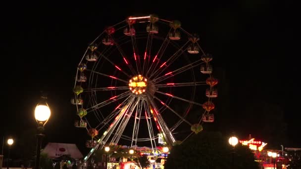 Ferris wheel in bright lights. Golden Sands. Resort in Bulgaria. — Stock Video