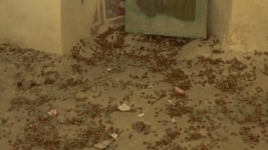 Dağlarda Aladzha Manastırı. Varna. Bulgaristan.