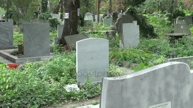 Varna eski mezarlıkta. Bulgaristan.