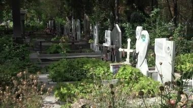 Varna eski mezarlıkta. Bulgaristan.