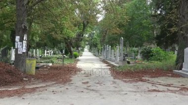 Varna eski mezarlıkta. Bulgaristan.