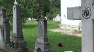 Varna eski mezarlıkta. Bulgaristan.