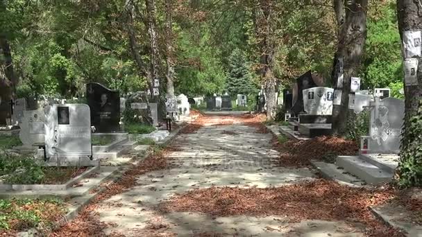 Древнее кладбище в Варне. Болгария . — стоковое видео
