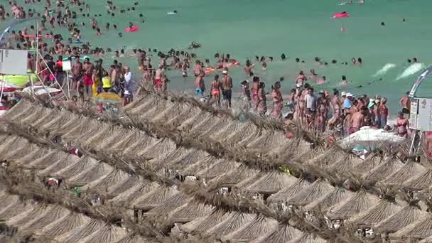 Spiaggia di sabbia dorata Zlatni Piasci in Bulgaria . — Video Stock