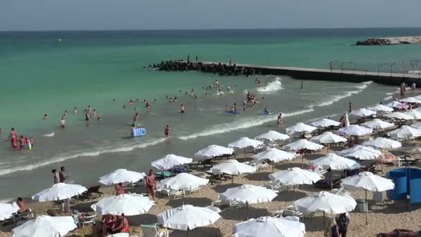 Spiaggia di sabbia dorata Zlatni Piasci in Bulgaria . — Video Stock