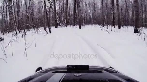 Kış ormanda kar arabası rides. — Stok video