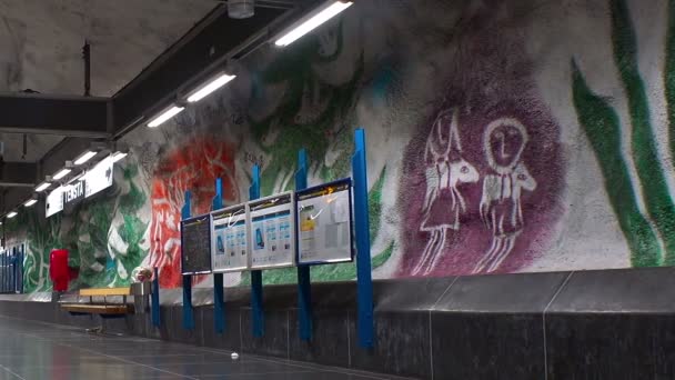 Tensta. Metro station. Kunst in de metro. Stockholm. Zweden. — Stockvideo