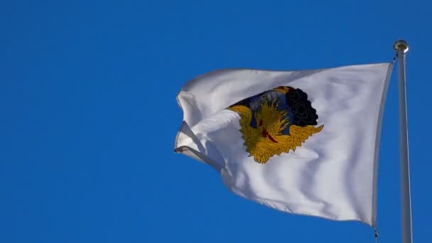 Una bandera blanca con corona y escudo de armas. Estocolmo. Países Bajos . — Vídeo de stock