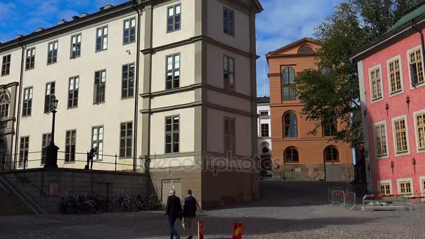 Schloss Wrangel in Stockholm. Schweden. — Stockvideo