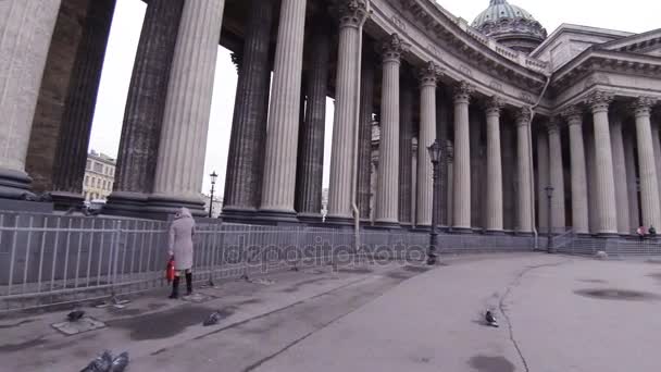 Columnas de la Catedral de Kazán en San Petersburgo . — Vídeo de stock