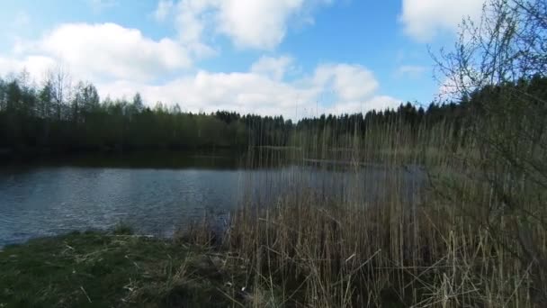 Lake in Bergen, natuur, bewolkt, bos. — Stockvideo