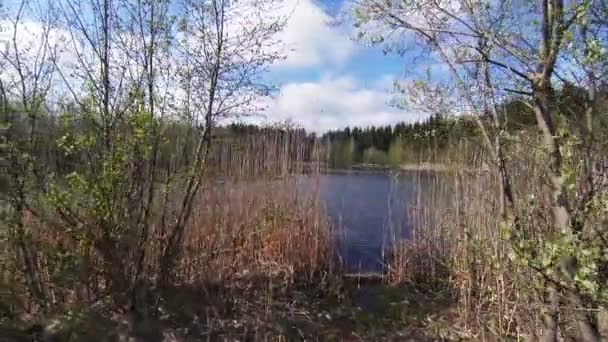 Lago en las montañas, naturaleza, nublado, bosque . — Vídeo de stock