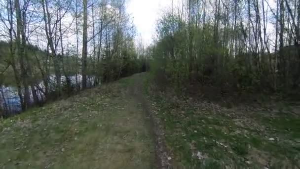 Lago de los Bosques. — Vídeo de stock