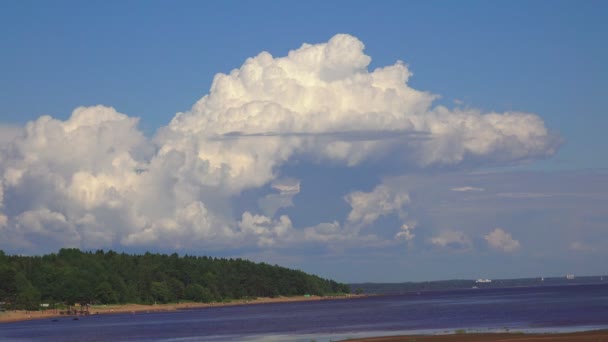 Na wybrzeżu Zatoki Fińskiej. 4k. — Wideo stockowe