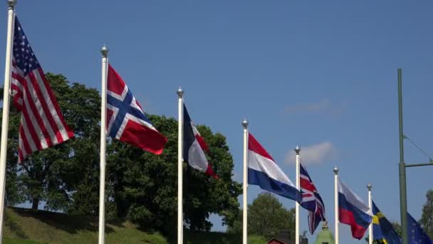 Lijst van vlaggen van de landen van Europa en de Verenigde Staten. 4k. — Stockvideo