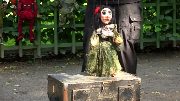 Κούκλα μια μαριονέτα με τις χορδές. 4k. — Αρχείο Βίντεο