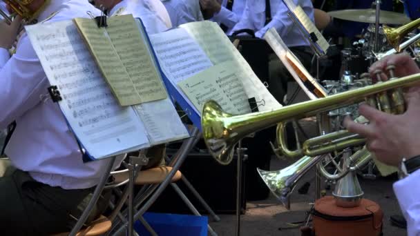 Brass band. De pijp. Notities. 4k. — Stockvideo