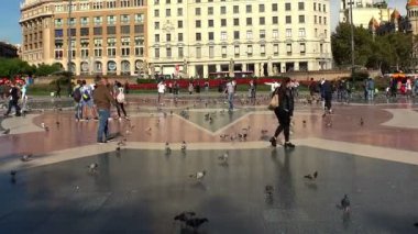 Güvercinler Barcelona merkezi meydanında. İspanya.
