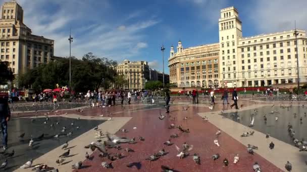 Pombos na praça no centro de Barcelona. Espanha . — Vídeo de Stock