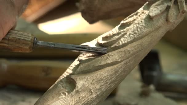 Master rzeźbi w drewnie. 4k. — Wideo stockowe