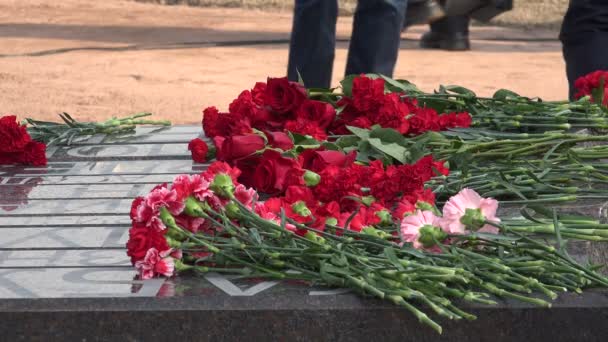 Röda blommor vid monumentet. 4k. — Stockvideo