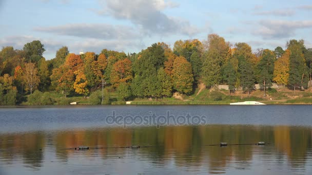 Bosque de otoño. Lago. Paisaje otoñal. 4K . — Vídeos de Stock