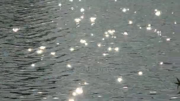 Rayos de sol, reflejos en el agua. 4K . — Vídeo de stock