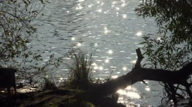 Güneş ışınları, su üzerine düşünceler. 4k.