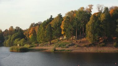 Sonbahar orman. Göl. Sonbahar manzara. 4k.