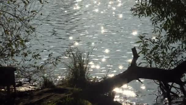 Solstrålar, reflektioner på vattnet. 4k. — Stockvideo