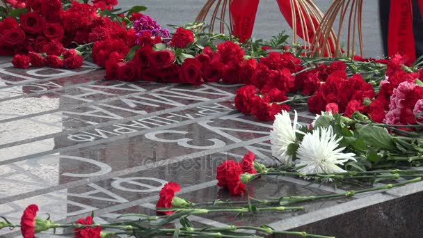 Red flowers at the monument. 4K. — Stock Video