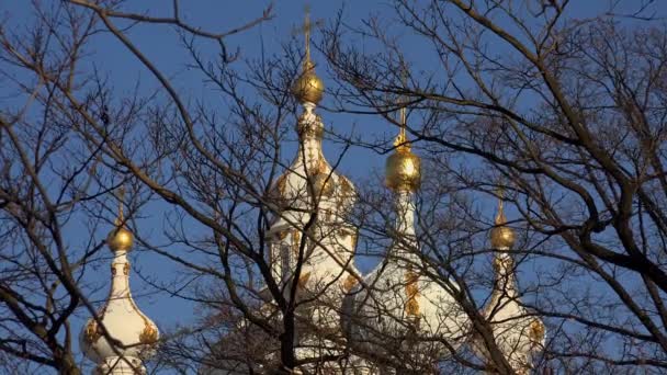 St. Petersburg'daki Smolny katedral. 4k. — Stok video