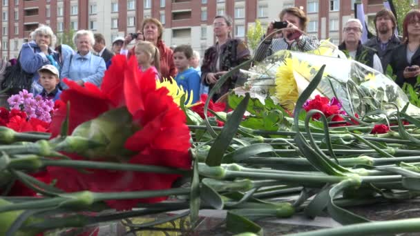 Czerwone kwiaty pod pomnikiem. 4k. — Wideo stockowe