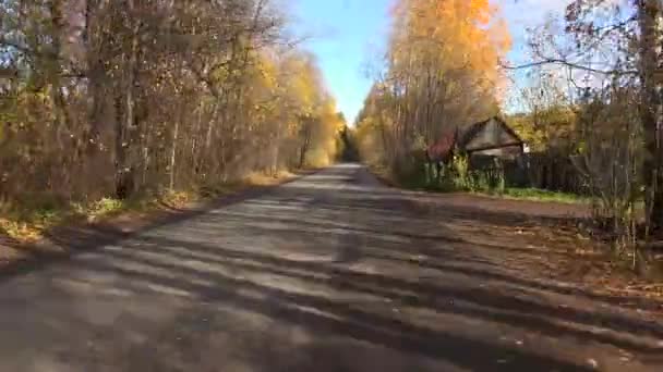 Bosque de otoño. Viajar en coche en la carretera en el otoño. 4K . — Vídeo de stock