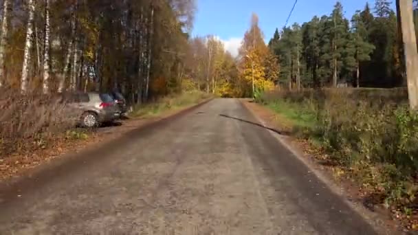 Bosque de otoño. Viajar en coche en la carretera en el otoño. 4K . — Vídeo de stock
