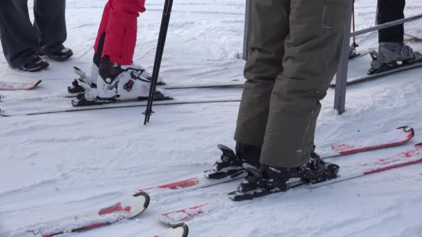 Skis, ski boots, legs. 4K. — Stock Video