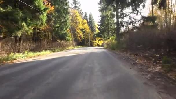 Herfst bos. Reizen met de auto op de weg in de herfst. 4k. — Stockvideo