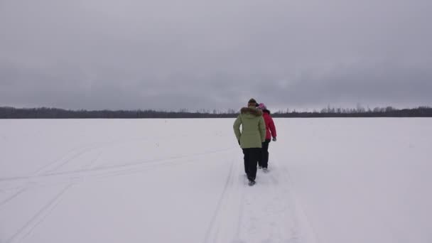 Девушка ходит по зимнему полю. 4K . — стоковое видео