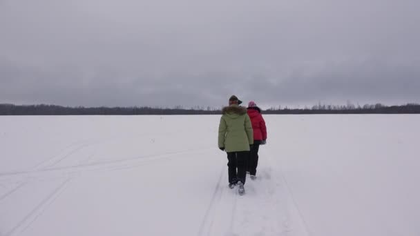 Mädchen zu Fuß im Winterfeld. 4k. — Stockvideo