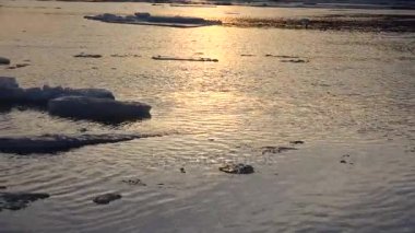 Yüzen buz kütlesi buz suda yüzer. 4k.